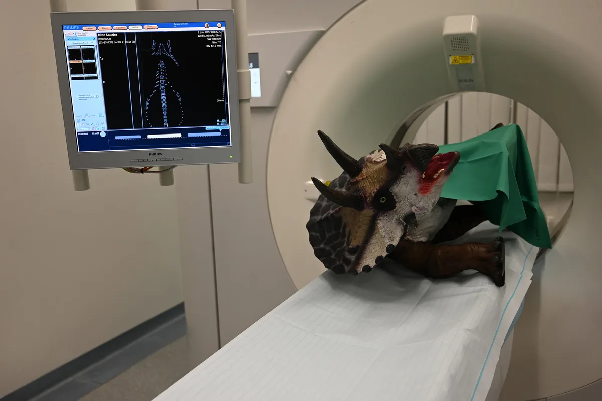Ein Dinosaurier aus Plastik wird im GZO Spital untersucht.